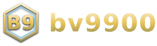 bv9900 logo
